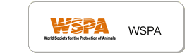 case study - WSPA